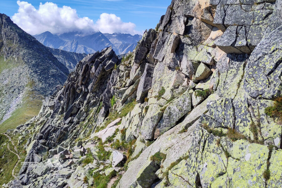 Der Steig zur/von der Palfner Scharte. Foto: Karl Plohovich