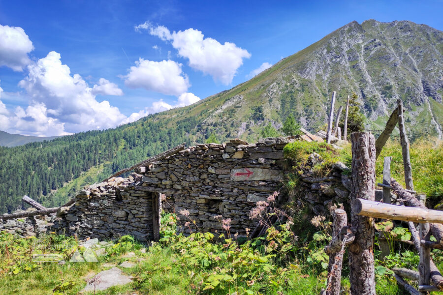 Die Reste der lawinensicher in den Hang geduckten Palfner Hochalm vor dem Graukogel. Foto: Karl Plohovich