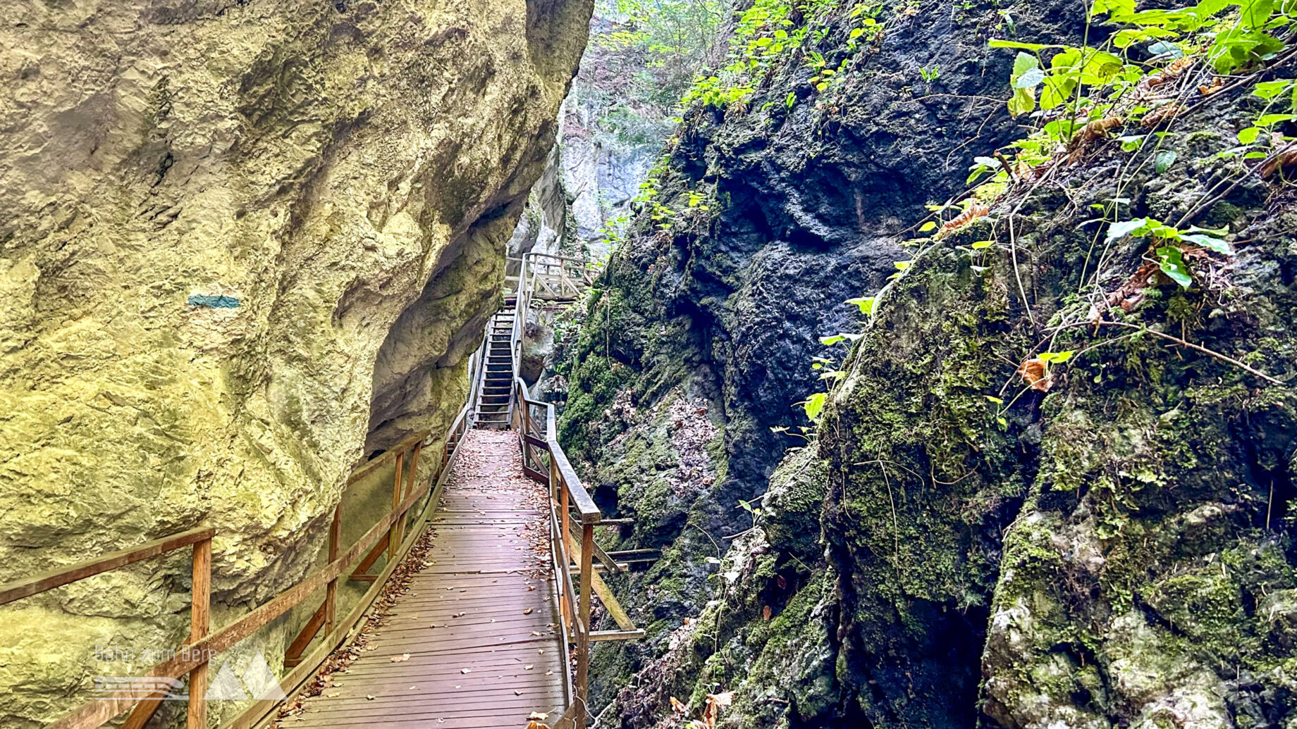 Steinwandklamm. Foto Veronika Schöll