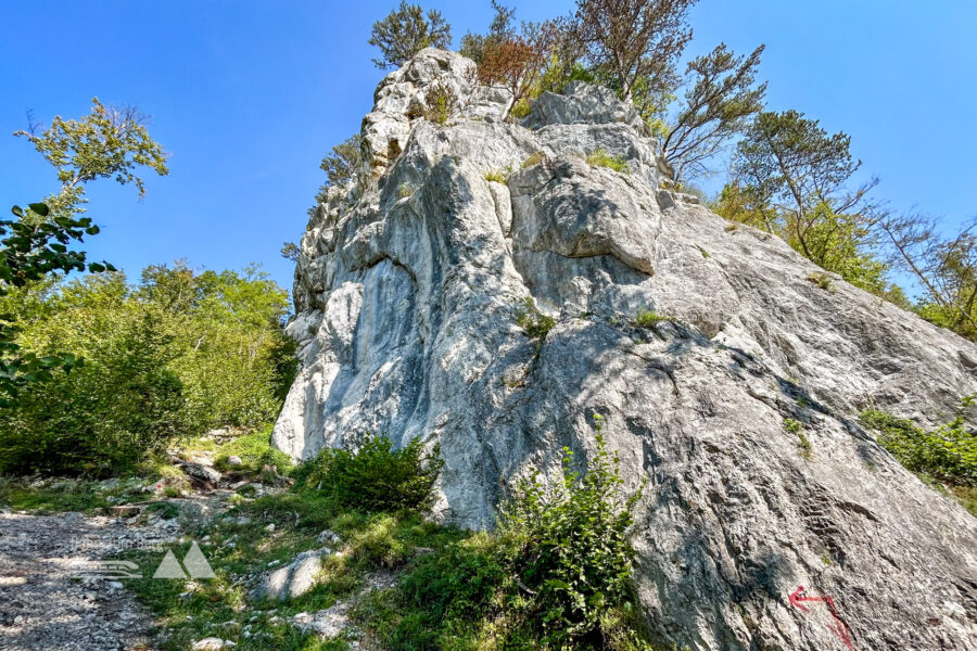 Zuerst rundumadum. Foto Veronika Schöll